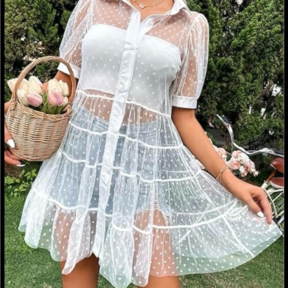 Fantastic Fawn NWT the sheer overlay dress size Medium